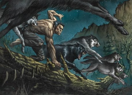 Wolverin Origins Wolverin Origins